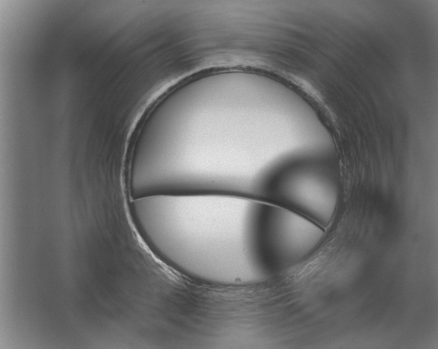 X0000062910943200601271736