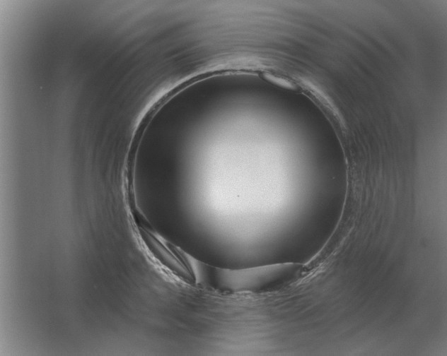 X0000062910944200601271736