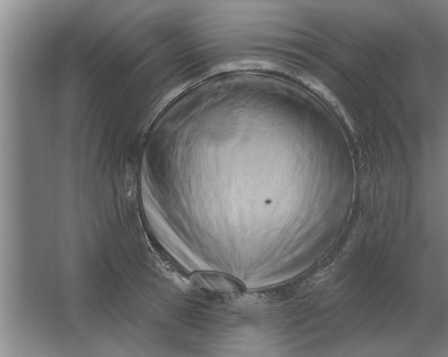 X0000062910945200601271736