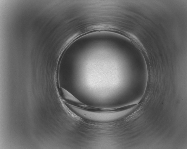 X0000062910946200601271736