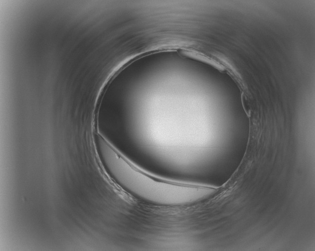 X0000062910948200601271736