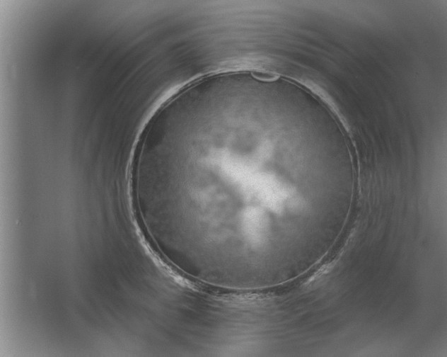 X0000062910949200601271736