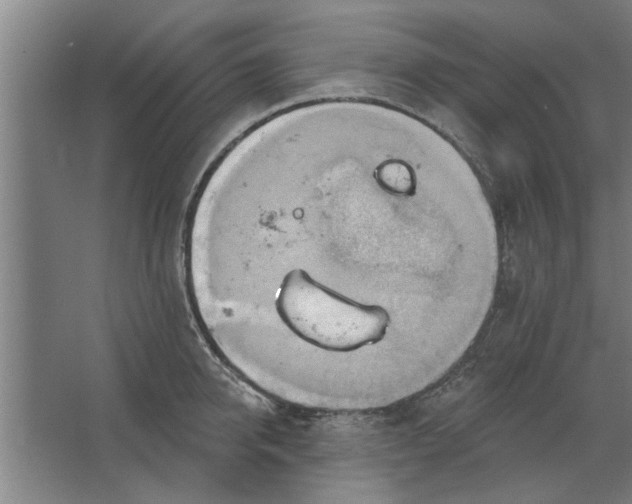 X0000062910950200601271736