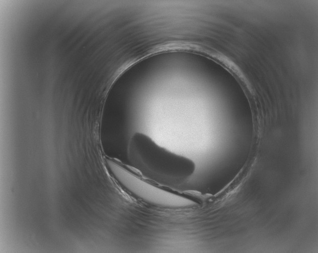 X0000062910953200601271736