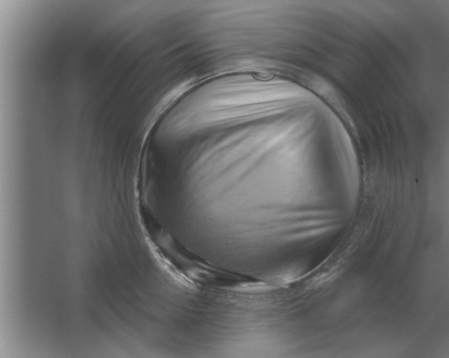 X0000062910954200601271736