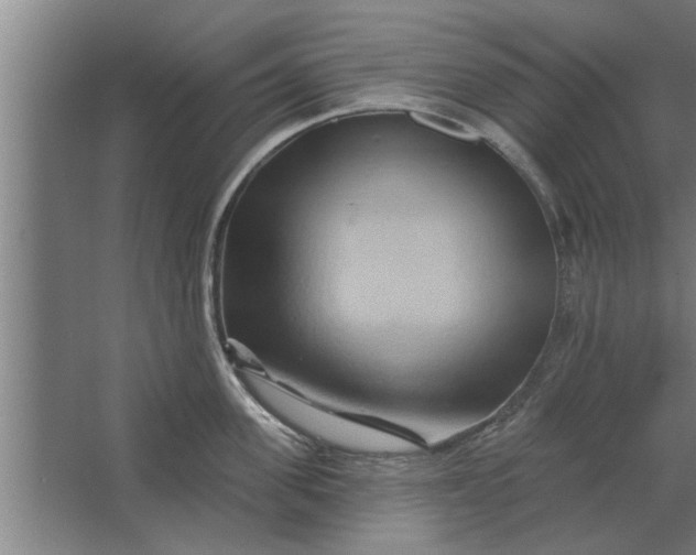 X0000062910955200601271736