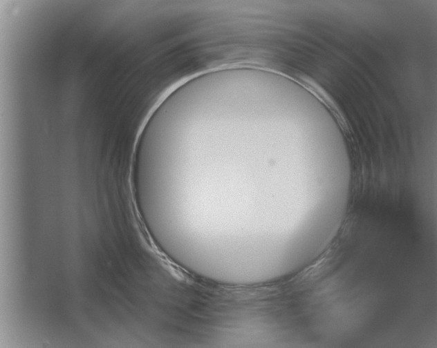 X0000062910956200601271736