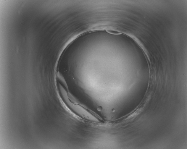 X0000062910957200601271736