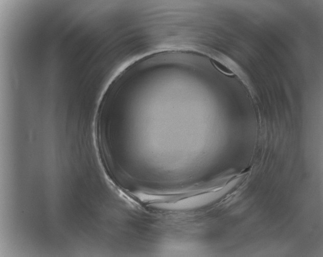 X0000062910958200601271736