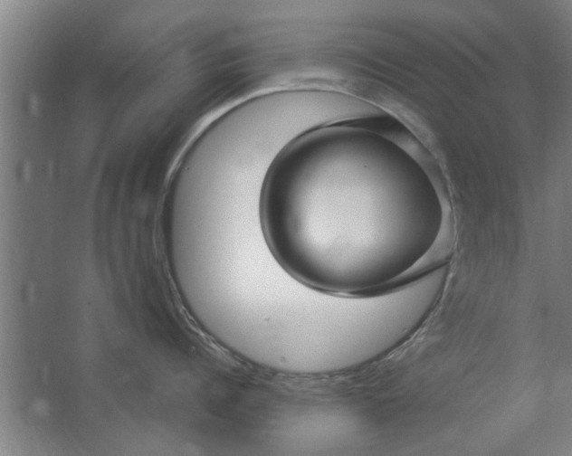 X0000062910960200601271736