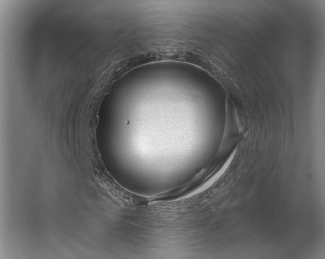 X0000062910961200601271735