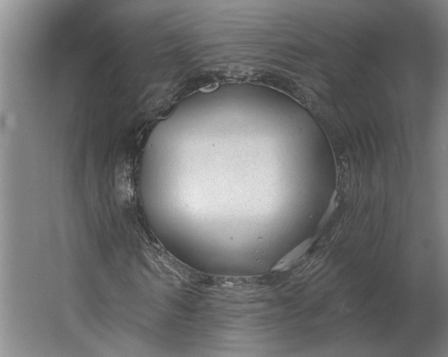 X0000062910962200601271735