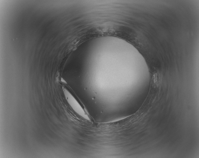 X0000062910963200601271735