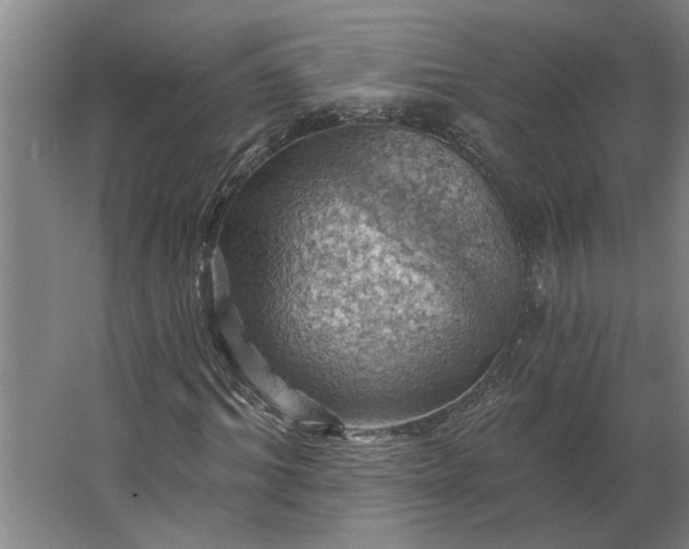 X0000062910964200601271735