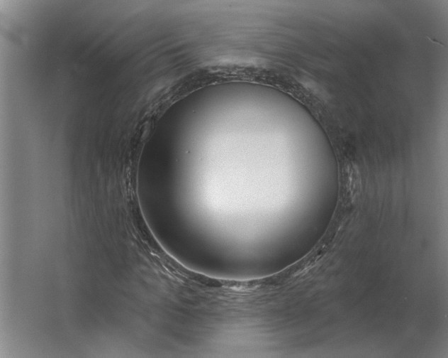 X0000062910965200601271735