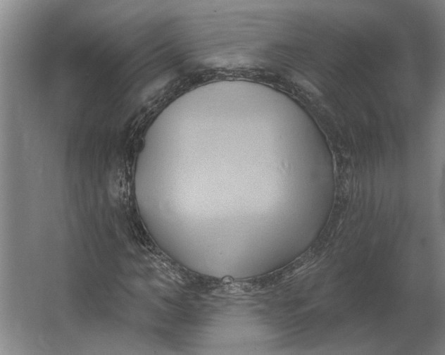 X0000062910966200601271735