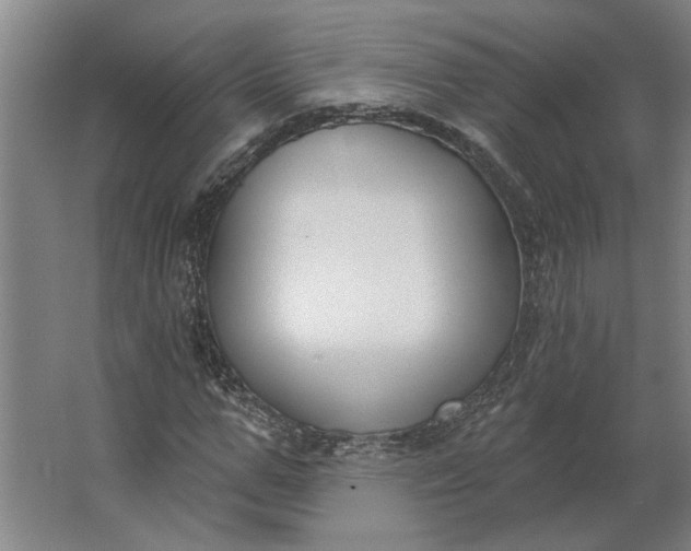 X0000062910967200601271735