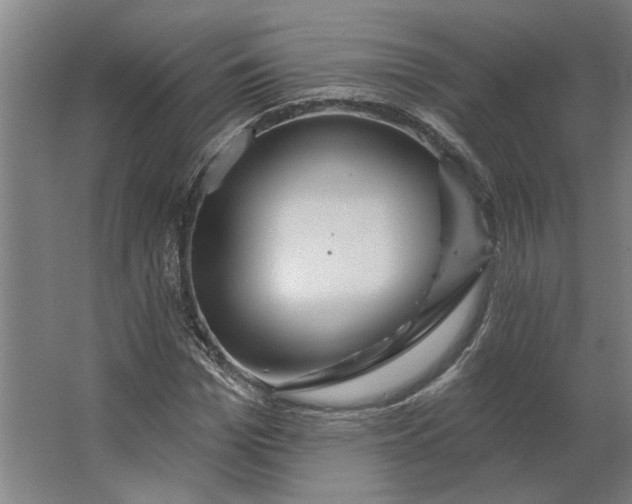 X0000062910969200601271735