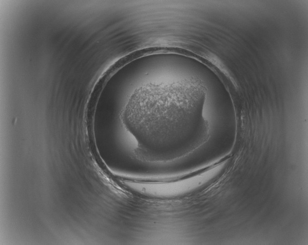 X0000062910972200601271735