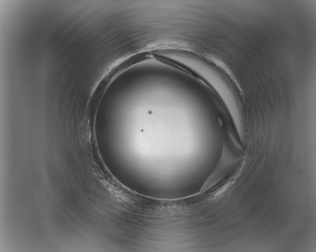 X0000062910973200601271735