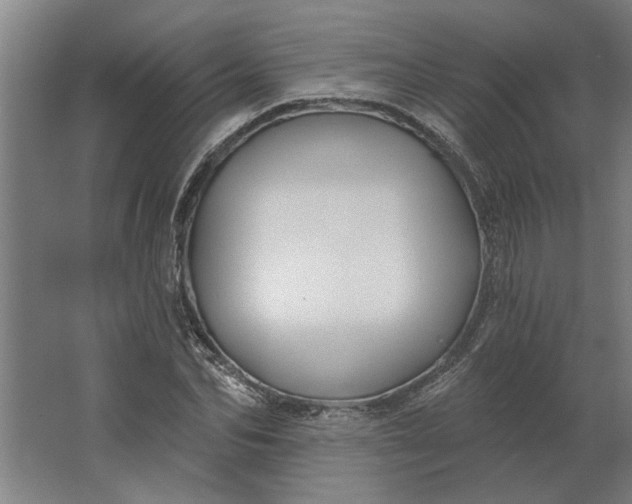 X0000062910974200601271735