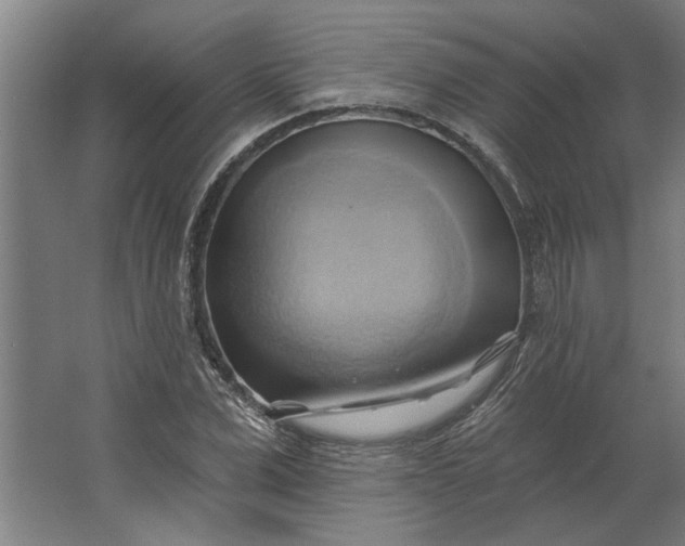 X0000062910975200601271735