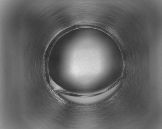 X0000062910976200601271735