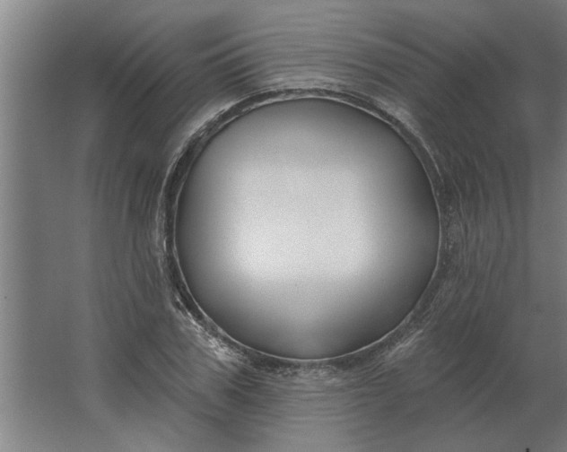 X0000062910979200601271735