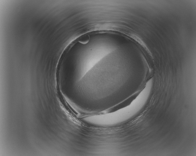 X0000062910980200601271735