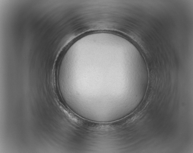 X0000062910982200601271735