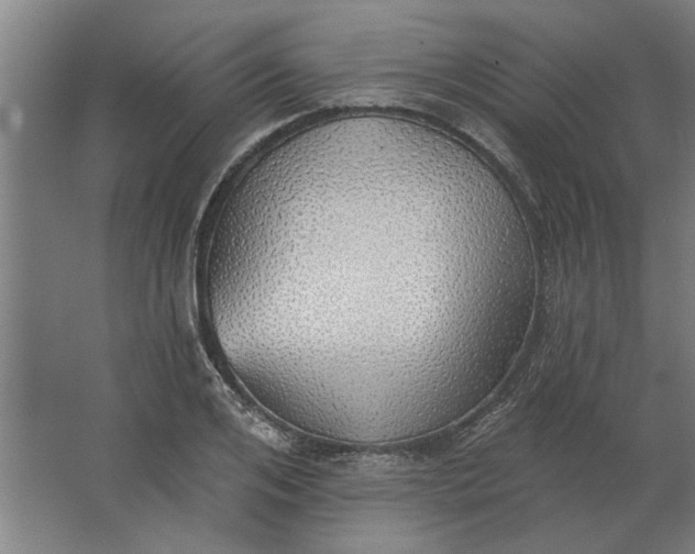 X0000062910984200601271735