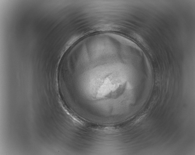 X0000062910986200601271735