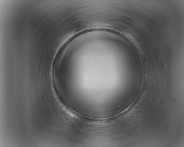 X0000062910990200601271735