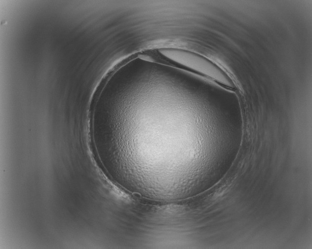 X0000062910992200601271735