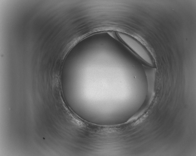 X0000062910993200601271735