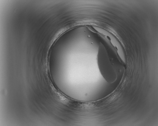 X0000062910994200601271735