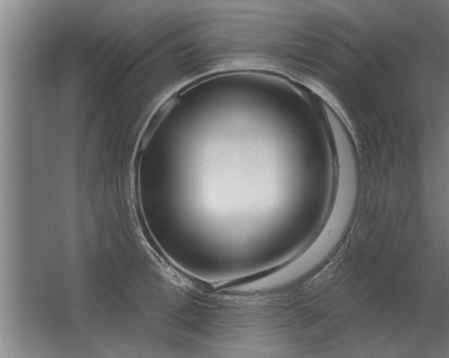 X0000062910996200601271735