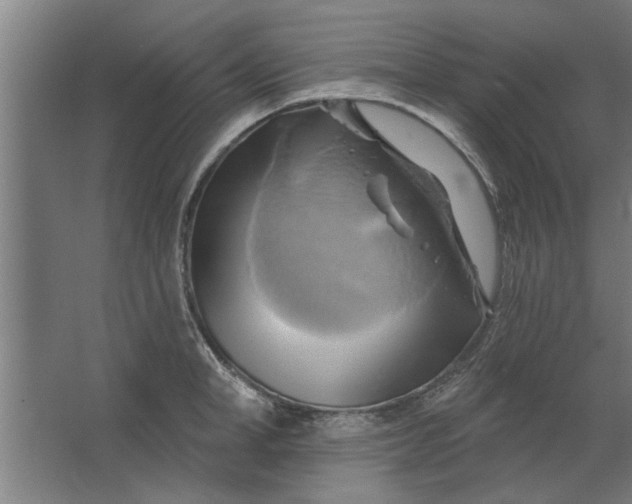 X0000062910998200601271735