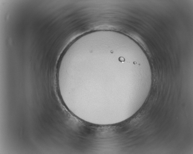 X0000062911000200601271735