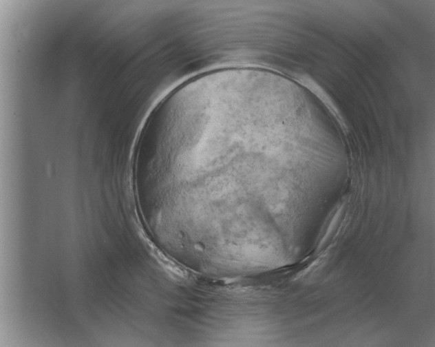 X0000062911004200601271734