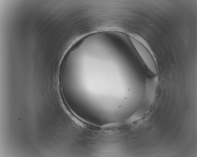 X0000062911005200601271734