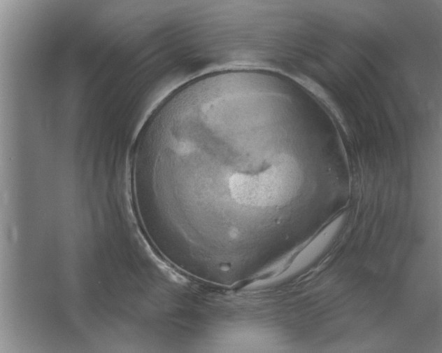 X0000062911006200601271734