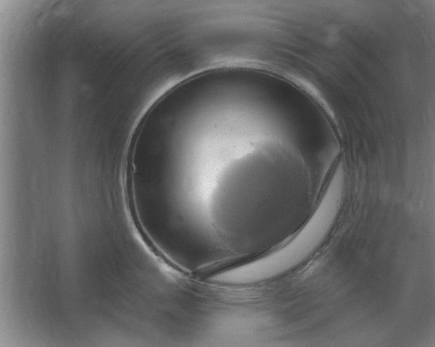 X0000062911007200601271734