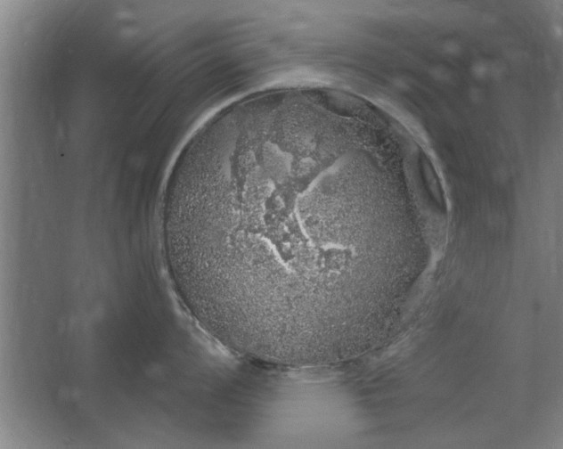 X0000062911008200601271734