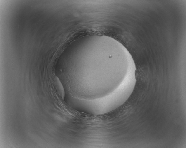 X0000062911009200601271734