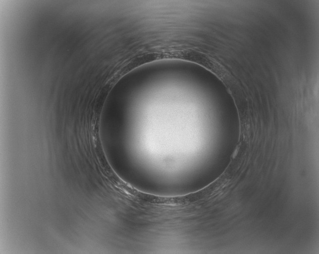 X0000062911010200601271734