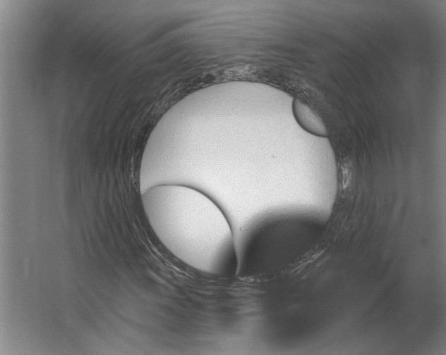 X0000062911011200601271734