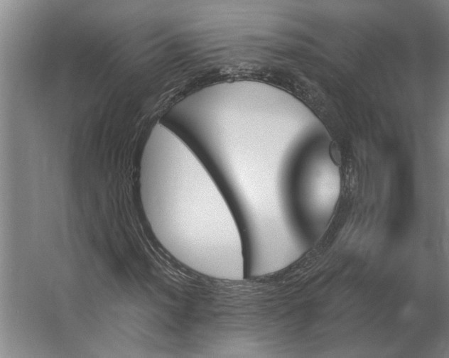 X0000062911012200601271734