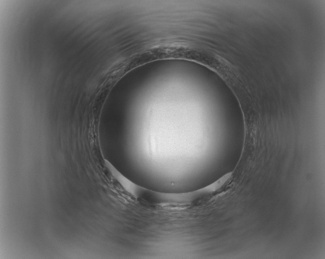 X0000062911014200601271734