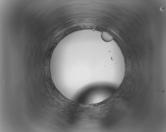 X0000062911015200601271734